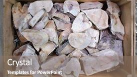  Presentation with frozen fish - Beautiful PPT theme featuring fishy - frozen fish in supermarket backdrop and a coral colored foreground