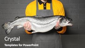  Presentation with fish - Amazing presentation having fishy - handsome seller holding fresh fish backdrop and a dark gray colored foreground