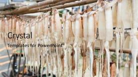  Presentation with hang - Beautiful theme featuring fishy - hang on the squid backdrop and a soft green colored foreground