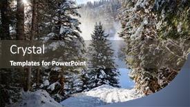  Presentation with pine trees - Presentation with fist-snow-in-the-mountains background and a dark gray colored foreground