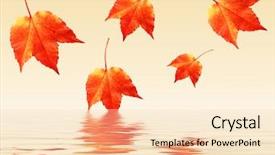  Presentation with autumn leaves falling - Theme featuring five autumn leaves are falling background and a lemonade colored foreground