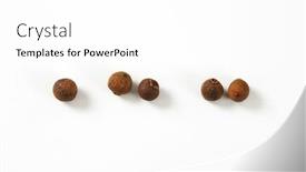  Presentation with allspice - PPT layouts featuring five-berries-of-allspice background and a white colored foreground