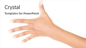  Presentation with waiter hand in white glove - Slide set with bounty island in fiji background and a dark gray colored foreground