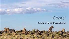  Presentation with juvenile - Cool new slide deck with five-lion-brothers backdrop and a light blue colored foreground