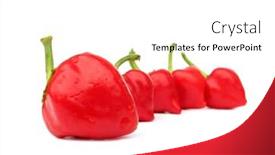  Presentation with peppers - Beautiful presentation theme featuring five red peppers backdrop and a white colored foreground