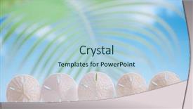  Presentation with five stars - Cool new presentation with five stars starfish on white backdrop and a light blue colored foreground