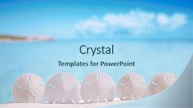  Presentation with five stars - PPT theme enhanced with five stars starfish on white sand beach with ocean sky and seascape background and a light blue colored foreground