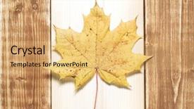  Presentation with canada flag - Presentation enhanced with flag of canada background and a yellow colored foreground