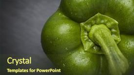  Presentation with dark green - Audience pleasing slides consisting of flagstone - macro close up backdrop and a tawny brown colored foreground