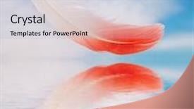  Presentation with flamingo - Amazing PPT layouts having flamingo feather against blue sky backdrop and a light blue colored foreground