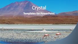  Presentation with flamingo - Cool new PPT theme with atacama - flamingo in the lake backdrop and a gray colored foreground