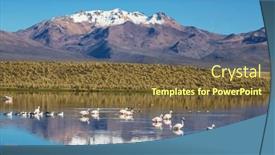  Presentation with wilderness - Slide set consisting of flamingo-in-the-lake background and a tawny brown colored foreground