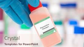  Presentation with fungus - PPT theme with flammulina-velutipes-fungus-also-known background and a lemonade colored foreground