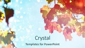  Presentation with shimmering - Slide set with flare against light design shimmering on blue background and a cool aqua colored foreground