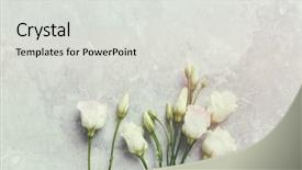  Presentation with gray marble - Audience pleasing presentation design consisting of flat lay arrangement flower background backdrop and a light gray colored foreground