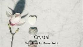  Presentation with magnolia - Presentation design consisting of flat-lay-composition-with-beautiful background and a light gray colored foreground