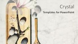  Presentation with magnolia - Colorful presentation theme enhanced with flat-lay-composition-with-beautiful backdrop and a white colored foreground