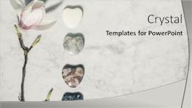  Presentation with magnolia - Presentation featuring flat-lay-composition-with-beautiful background and a light gray colored foreground