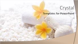  Presentation with frangipani flowers - Presentation design having flat-lay-composition-with-pile background and a pink colored foreground