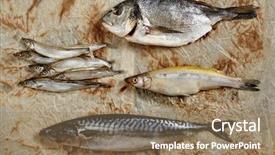  Presentation with seafood - Cool new presentation theme with flat lay creative still life backdrop and a coral colored foreground