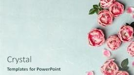  Presentation with border pink - Cool new slides with flat-lay-decorative-border backdrop and a sky blue colored foreground