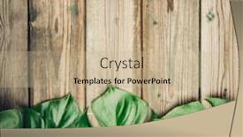  Presentation with leaves flat lay - Cool new PPT layouts with flat-lay-layout-with-monstera backdrop and a coral colored foreground