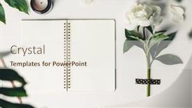  Presentation with peony - PPT theme consisting of flat-lay-of-beautiful-peony background and a sky blue colored foreground