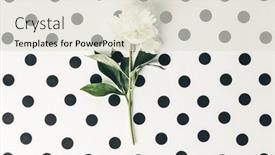  Presentation with peony - Colorful presentation design enhanced with flat-lay-of-beautiful-peony backdrop and a lemonade colored foreground