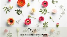  Presentation with flat - PPT theme having flat lay of fresh flowers background and a soft green colored foreground
