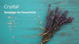  Presentation with aromatherapy massage - Presentation design with flat-lay-of-fresh-lavender background and a teal colored foreground