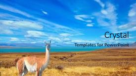  Presentation with plain colors gray texture cloth - Beautiful PPT theme featuring flat plain with shallow lakes backdrop and a light blue colored foreground