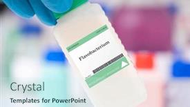  Presentation with soil bacteria - Presentation design enhanced with flavobacterium-bacteria-a-bacteria-commonly background and a cool aqua colored foreground