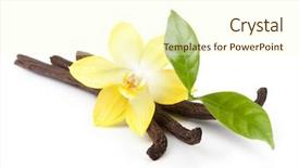 Presentation with vanilla - Theme having flavor - vanilla pods and orchid flower background and a cream colored foreground