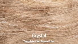  Presentation with fibers - Audience pleasing PPT theme consisting of flax fibers backdrop and a coral colored foreground