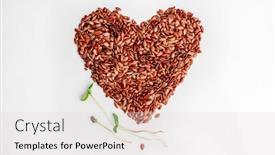  Presentation with microgreen - Presentation design enhanced with flax-seeds-laid-out background and a light gray colored foreground