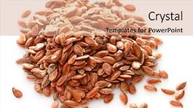  Presentation with oil seeds - PPT layouts consisting of flax seeds on white background background and a coral colored foreground