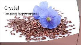  Presentation with seeds - PPT theme enhanced with flax seeds with flowers background and a white colored foreground