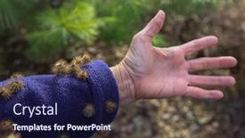  Presentation with stuck - Slide deck enhanced with fleece-sleeve-with-burdock-burrs background and a navy blue colored foreground