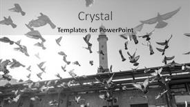  Presentation with fleet - Presentation theme enhanced with fleet-of-pigeons-flying background and a light gray colored foreground