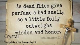  Presentation with top 150 - PPT theme featuring flies give perfume a bad background and a mint green colored foreground