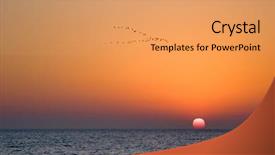  Presentation with birds - PPT layouts featuring flight of birds of passage on a sunset above mediterranean sea background and a yellow colored foreground