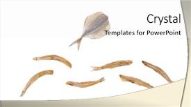  Presentation with magnetic wave - Presentation theme with flight simulation - composition from stockfish simulates background and a  colored foreground