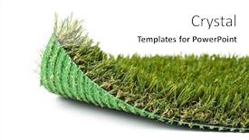  Presentation with grass - Audience pleasing slide deck consisting of flipped-up-section-of-artificial backdrop and a white colored foreground