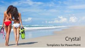  Presentation with red banner - Amazing theme having flippers embracing on a deserted backdrop and a light gray colored foreground