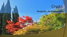  Presentation with yellow green - Cool new theme with fllower - famous garden park sigurta backdrop and a  colored foreground