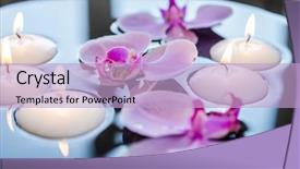  Presentation with floating - PPT theme featuring child and adult hands take pieces of a tasty pizza background and a lemonade colored foreground