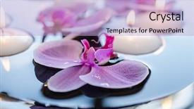  Presentation with floating - Cool new presentation theme with floating candle and orchid flower backdrop and a light blue colored foreground