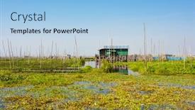  Presentation with barn - Cool new PPT theme with floating-cucumber-and-other-vegetables backdrop and a light blue colored foreground