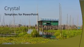  Presentation with barn - PPT theme featuring floating-cucumber-and-other-vegetables background and a light blue colored foreground