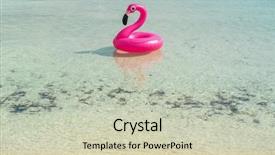  Presentation with flamingo - PPT layouts having floating on sea on beach background and a soft green colored foreground